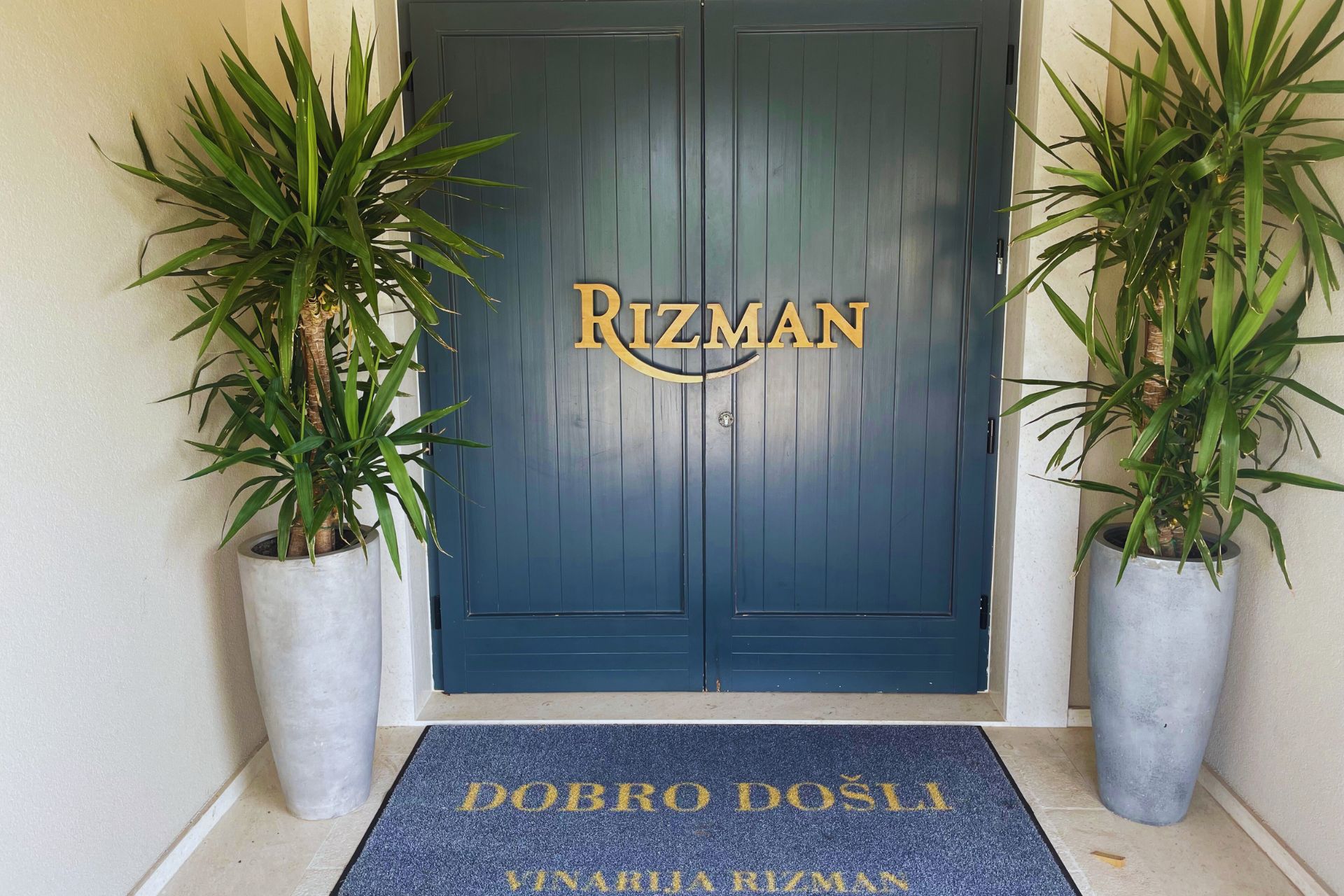 Discover the Rizman Winery: A Jewel in the Heart of Dalmatia