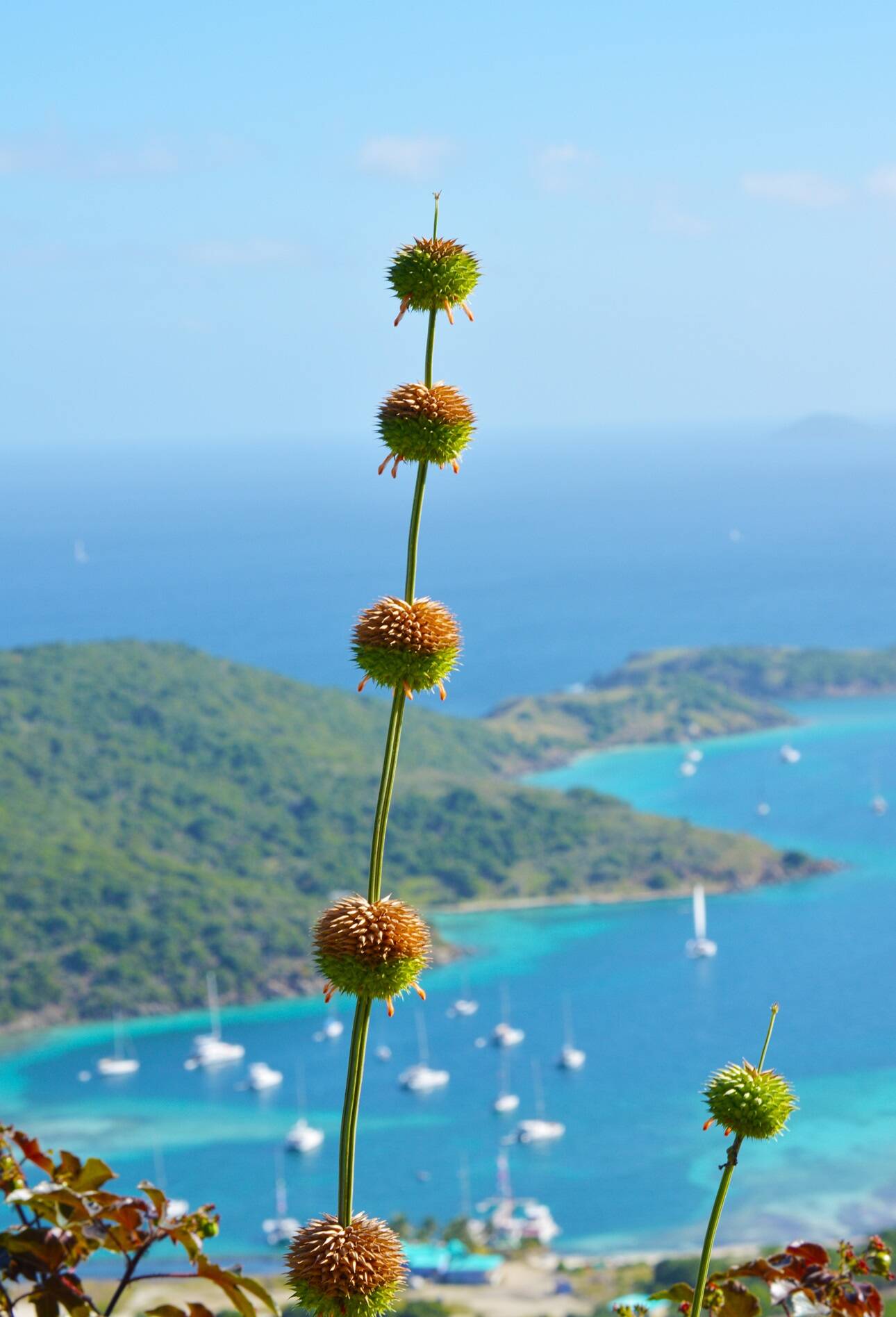 Jost Van Dyke